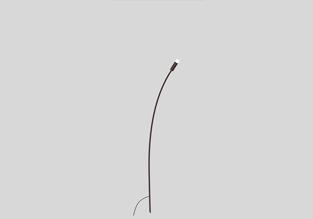 import placeholder for 19811