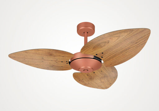 import placeholder for 16233