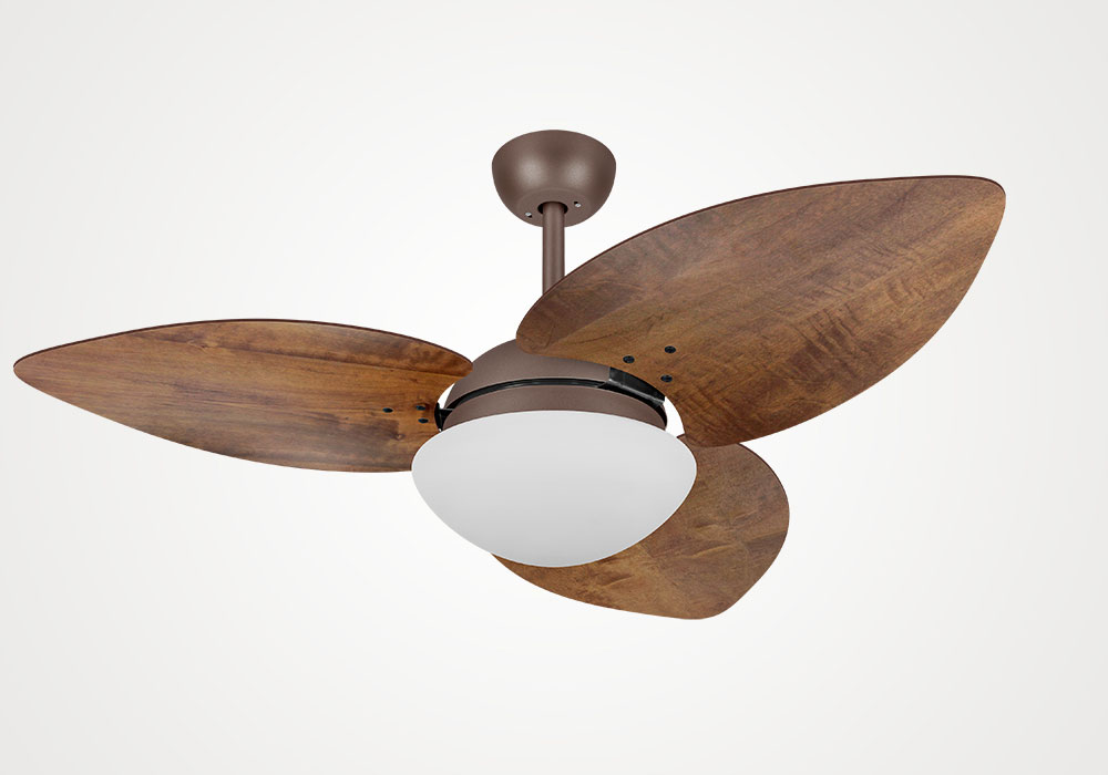 import placeholder for 14519