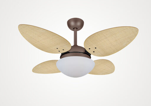 import placeholder for 14655