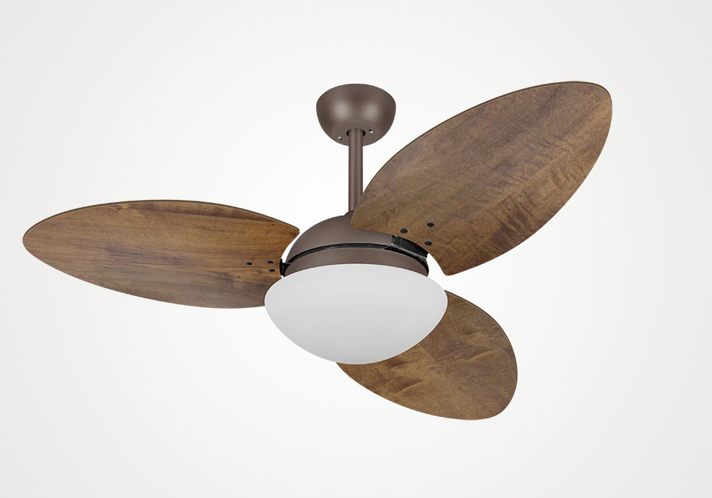 import placeholder for 15338