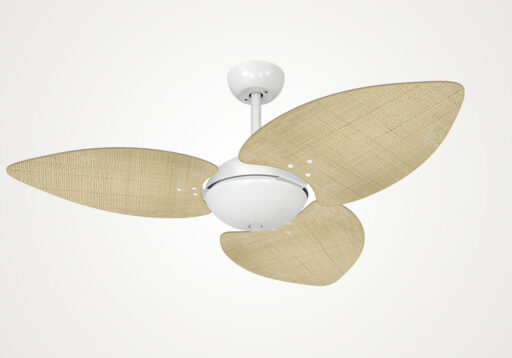 import placeholder for 13054