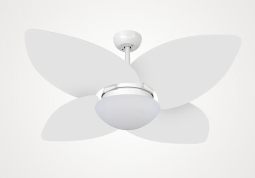 import placeholder for 5137