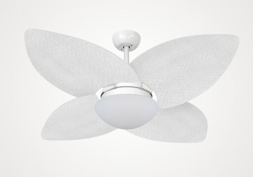 import placeholder for 6573