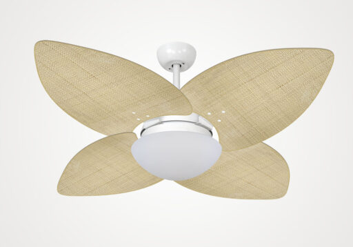 import placeholder for 6581