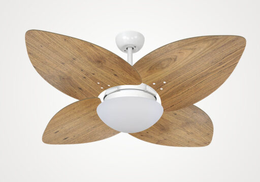 import placeholder for 6553