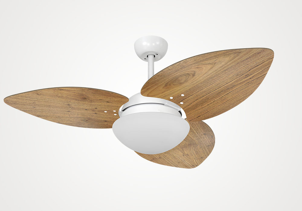 import placeholder for 6565