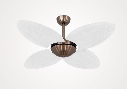 import placeholder for 15577