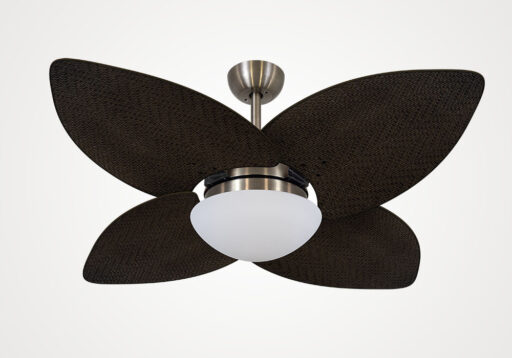 import placeholder for 5174