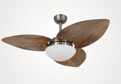 import placeholder for 5036