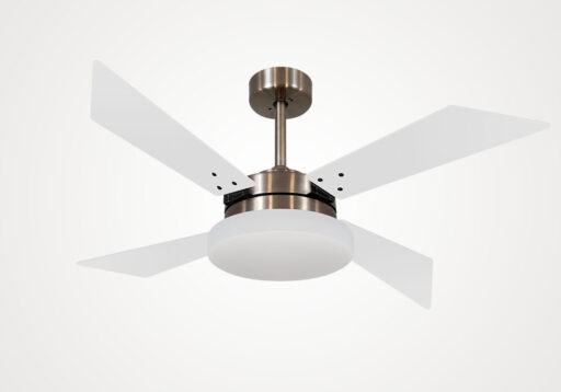 import placeholder for 5582