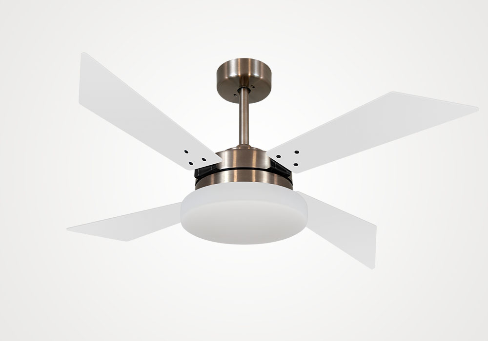 import placeholder for 5582