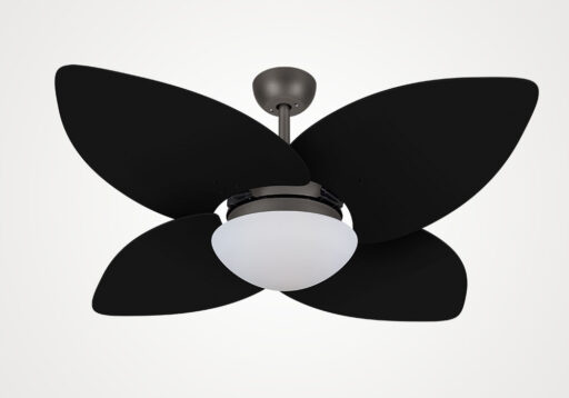 import placeholder for 13677