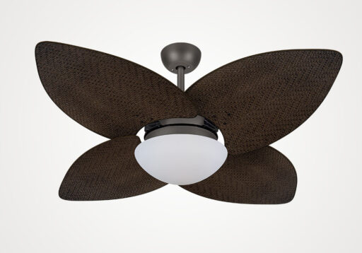 import placeholder for 14831