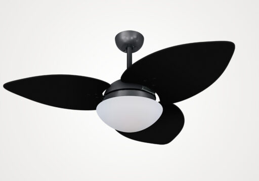 import placeholder for 13672