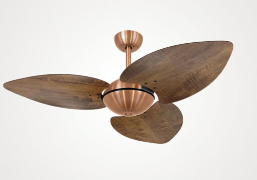 import placeholder for 6053