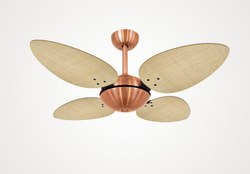 import placeholder for 13782