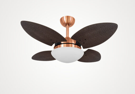 import placeholder for 5694