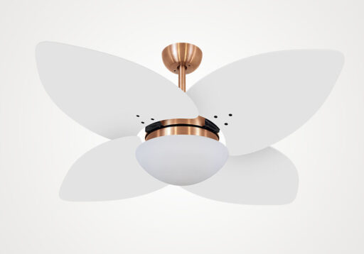 import placeholder for 5113