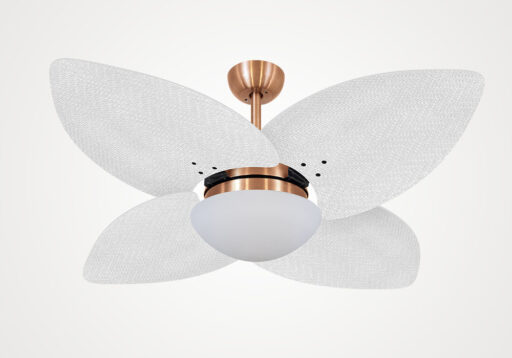 import placeholder for 5201
