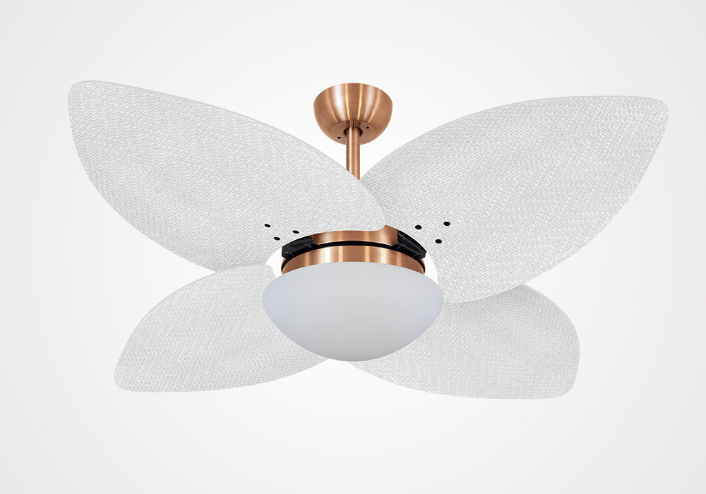import placeholder for 5201