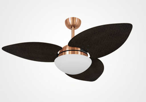 import placeholder for 5186