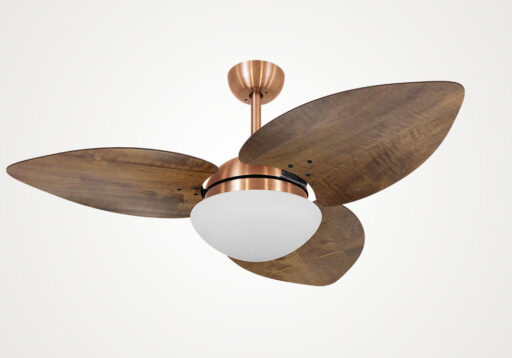 import placeholder for 4986