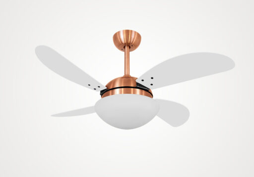 import placeholder for 13121