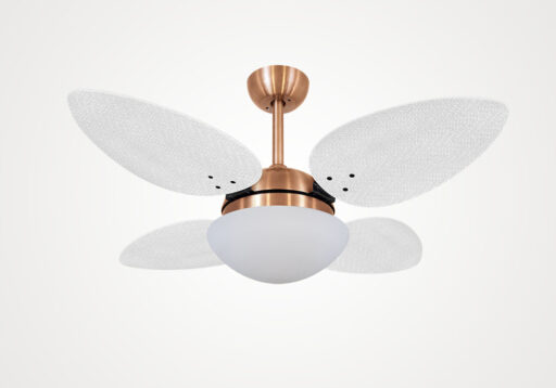 import placeholder for 6881