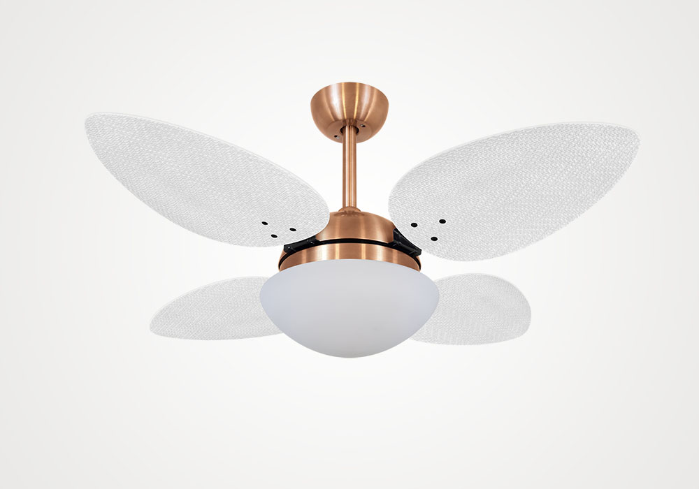 import placeholder for 6881