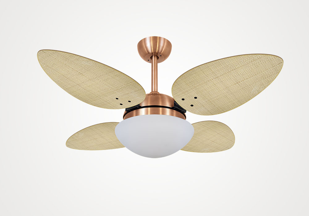 import placeholder for 6886