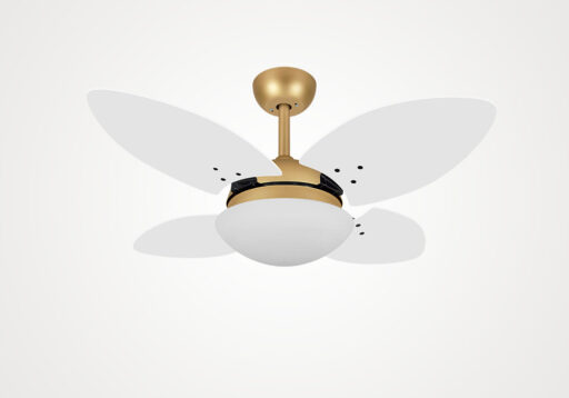 import placeholder for 14543