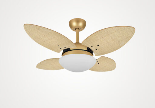 import placeholder for 14555
