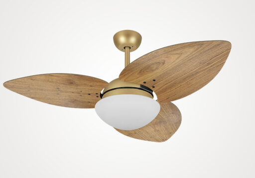 import placeholder for 15152