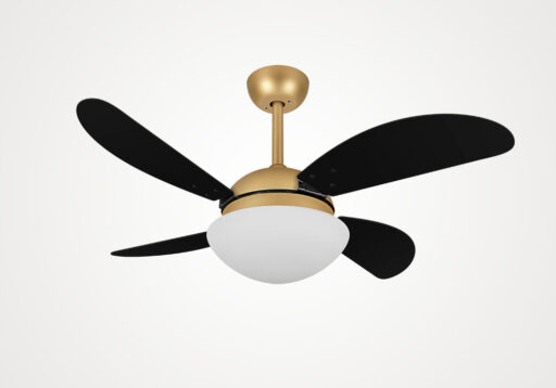 import placeholder for 14679