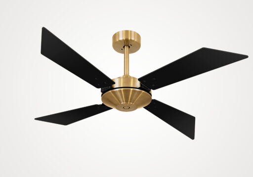 import placeholder for 5595