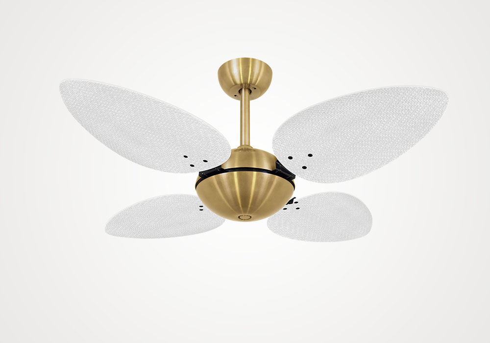 import placeholder for 13988