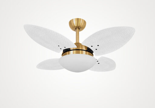 import placeholder for 5699