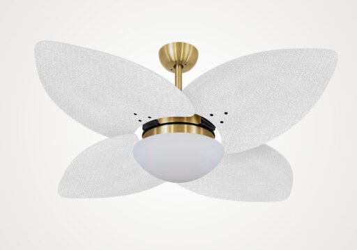 import placeholder for 5210