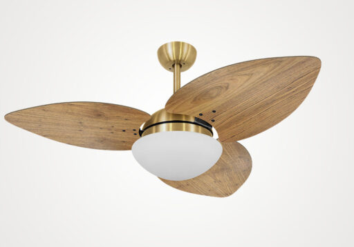 import placeholder for 5053