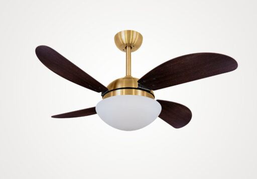 import placeholder for 5773