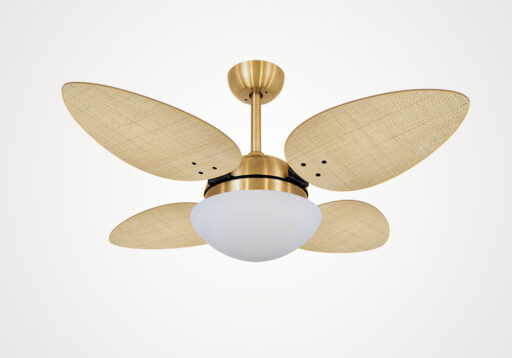 import placeholder for 4491