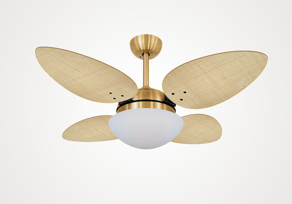 import placeholder for 4491