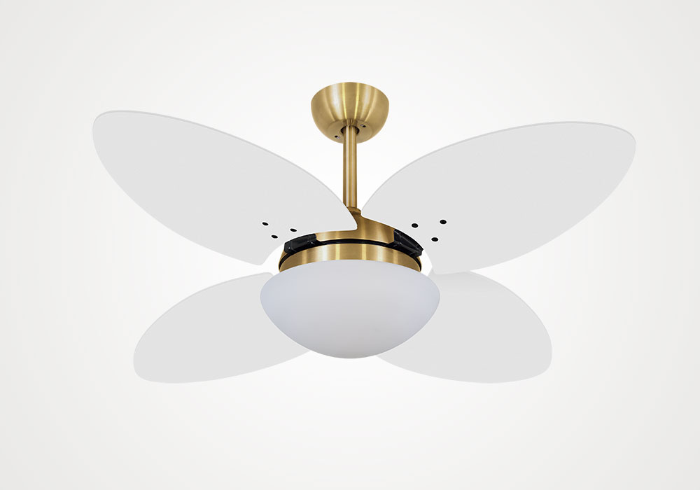import placeholder for 18129