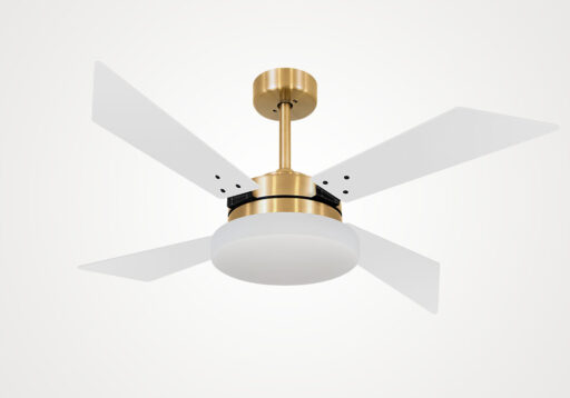 import placeholder for 5579