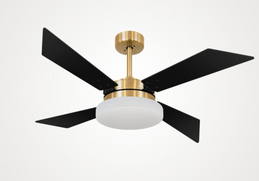 import placeholder for 5585