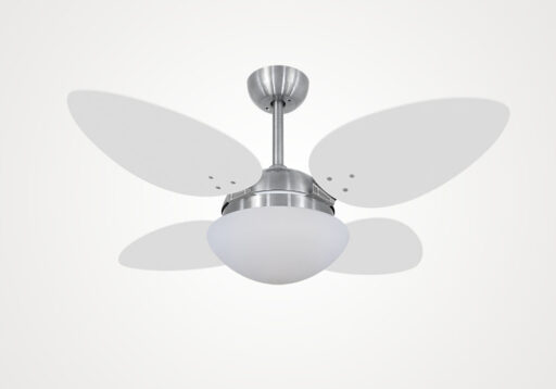import placeholder for 6036