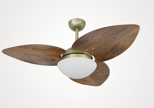 import placeholder for 8866
