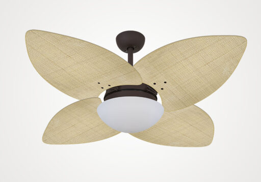 import placeholder for 5249