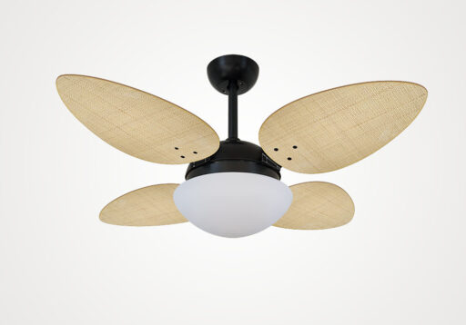 import placeholder for 13806